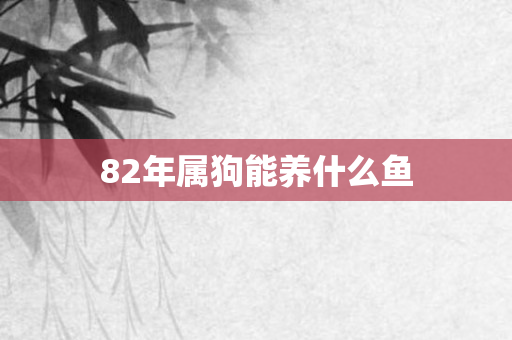 82年属狗能养什么鱼