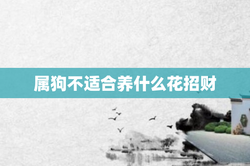 属狗不适合养什么花招财