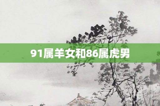 91属羊女和86属虎男