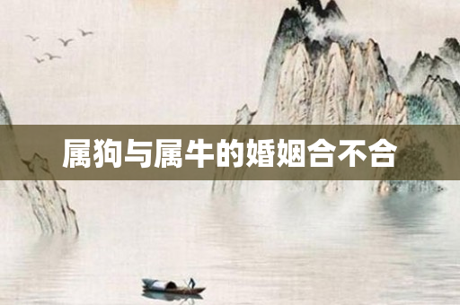 属狗与属牛的婚姻合不合