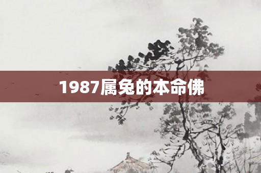 1987属兔的本命佛