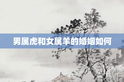 男属虎和女属羊的婚姻如何