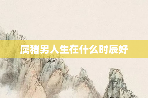 属猪男人生在什么时辰好