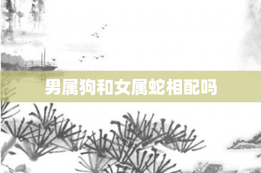男属狗和女属蛇相配吗