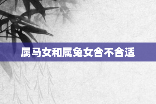属马女和属兔女合不合适