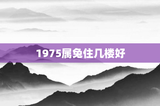 1975属兔住几楼好