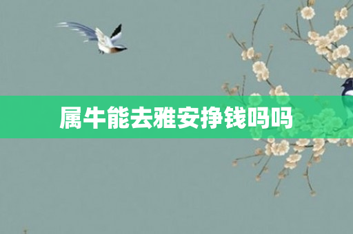 属牛能去雅安挣钱吗吗