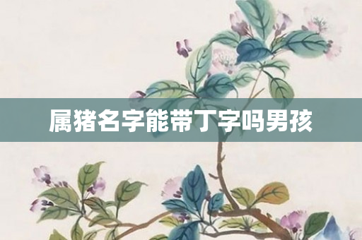 属猪名字能带丁字吗男孩
