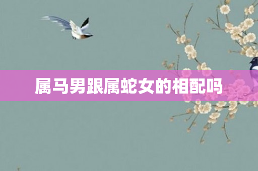 属马男跟属蛇女的相配吗
