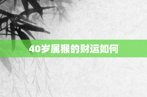 40岁属猴的财运如何