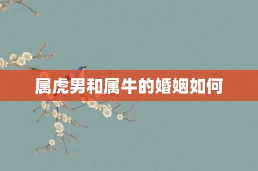 属虎男和属牛的婚姻如何