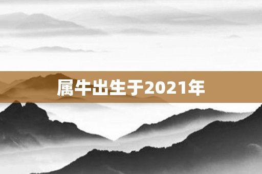 属牛出生于2021年
