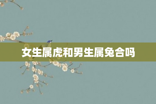女生属虎和男生属兔合吗