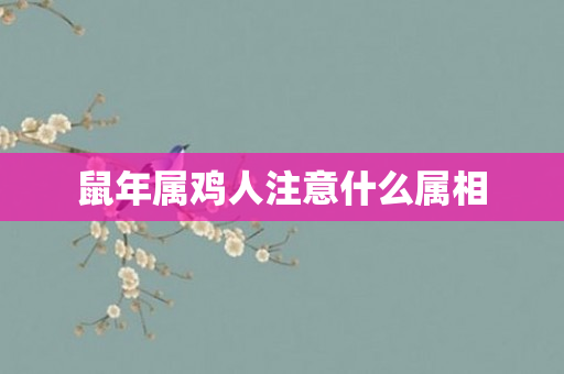 鼠年属鸡人注意什么属相