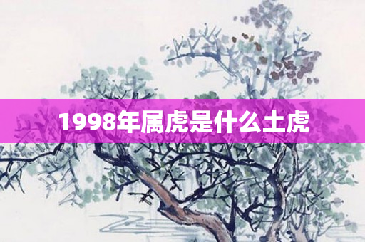 1998年属虎是什么土虎
