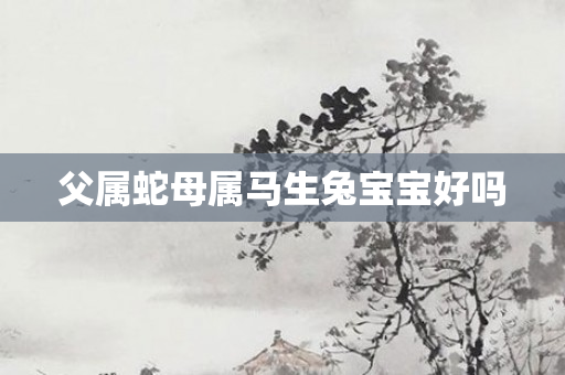 父属蛇母属马生兔宝宝好吗