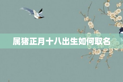 属猪正月十八出生如何取名