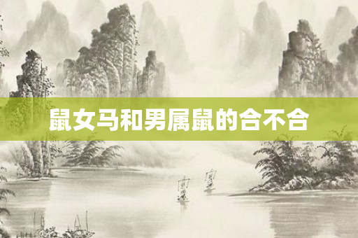 鼠女马和男属鼠的合不合