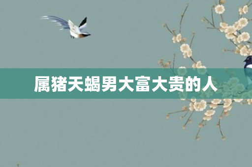 属猪天蝎男大富大贵的人