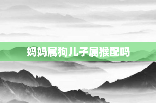 妈妈属狗儿子属猴配吗
