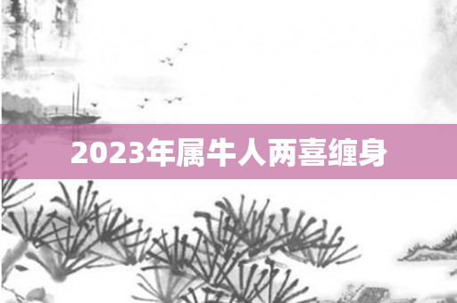 2023年属牛人两喜缠身