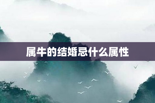 属牛的结婚忌什么属性