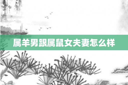 属羊男跟属鼠女夫妻怎么样