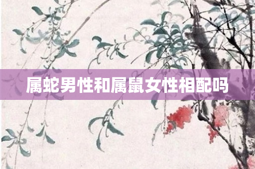 属蛇男性和属鼠女性相配吗