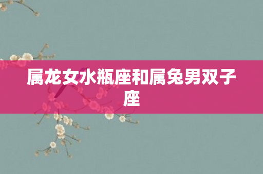 属龙女水瓶座和属兔男双子座