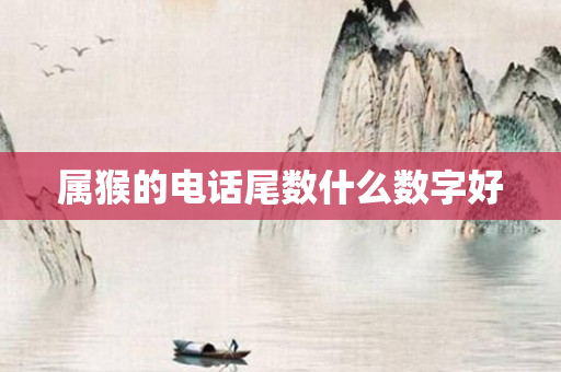 属猴的 *** 尾数什么数字好