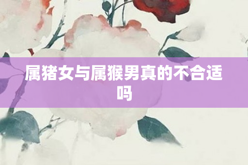 属猪女与属猴男真的不合适吗