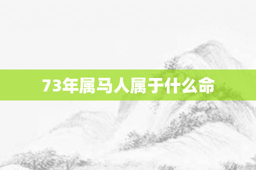 73年属马人属于什么命