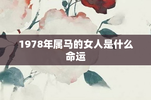 1978年属马的女人是什么命运