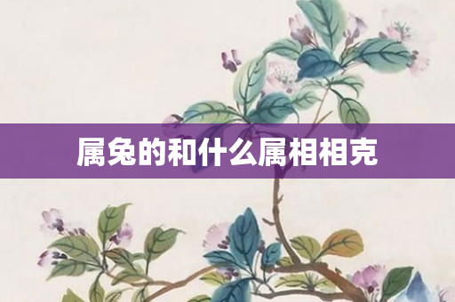 属兔的和什么属相相克