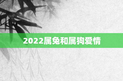 2022属兔和属狗爱情