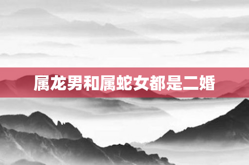 属龙男和属蛇女都是二婚