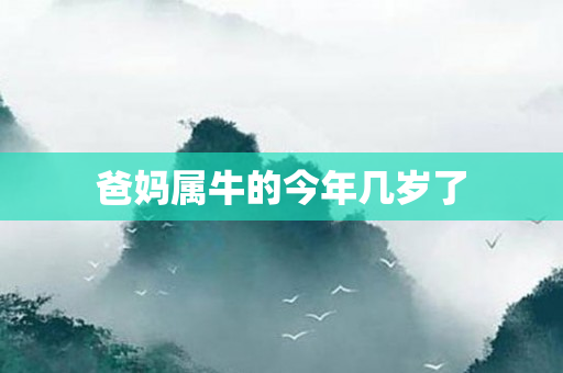 爸妈属牛的今年几岁了