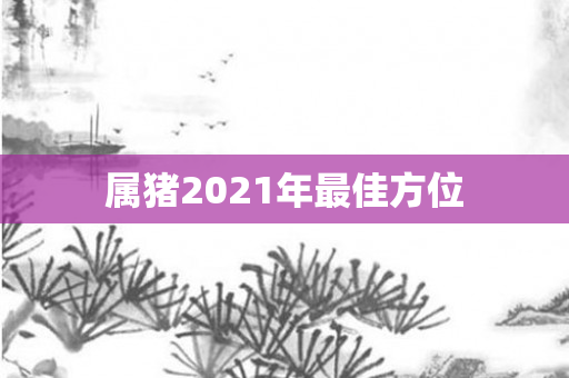 属猪2021年更佳方位