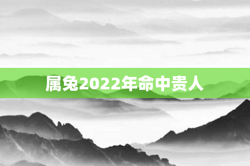 属兔2022年命中贵人