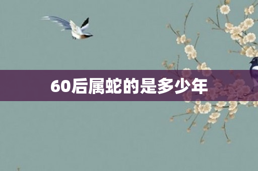 60后属蛇的是多少年