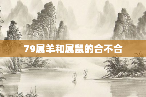 79属羊和属鼠的合不合