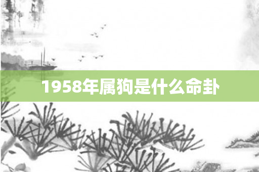 1958年属狗是什么命卦