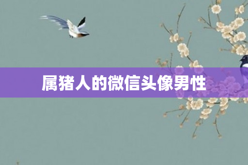属猪人的微信头像男性