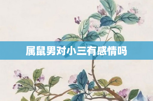 属鼠男对小三有感情吗
