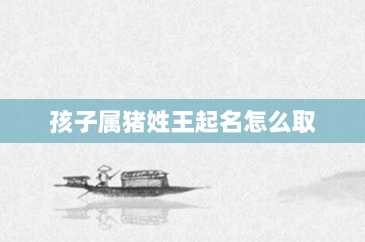 孩子属猪姓王起名怎么取