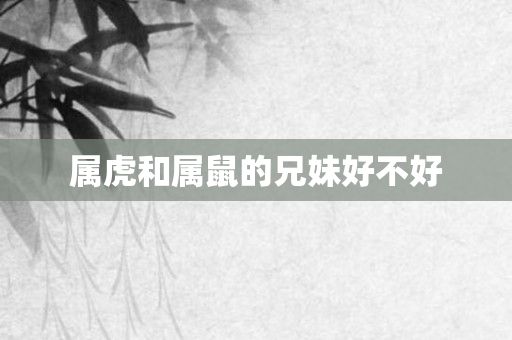 属虎和属鼠的兄妹好不好