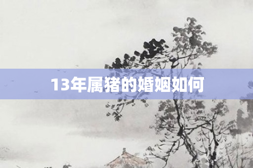 13年属猪的婚姻如何