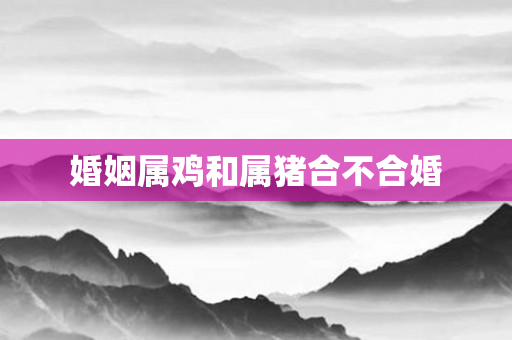 婚姻属鸡和属猪合不合婚