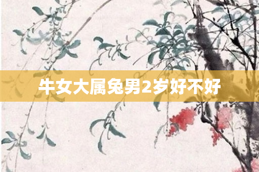 牛女大属兔男2岁好不好