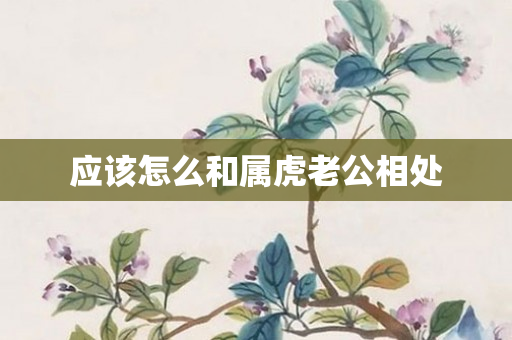 应该怎么和属虎老公相处